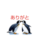 ペンギン(ほぼ)のつぶやき（個別スタンプ：36）