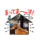 くるんちゃん5（個別スタンプ：2）