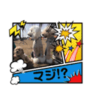 くるんちゃん5（個別スタンプ：6）
