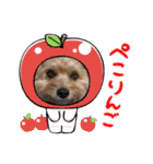 くるんちゃん5（個別スタンプ：14）