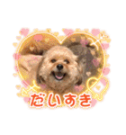 くるんちゃん5（個別スタンプ：17）
