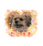 くるんちゃん5（個別スタンプ：18）