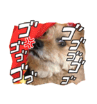 くるんちゃん5（個別スタンプ：19）