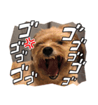 くるんちゃん5（個別スタンプ：21）