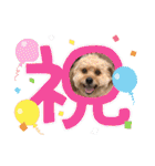 くるんちゃん5（個別スタンプ：24）