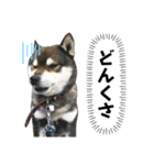 ペレペレスタンプ（個別スタンプ：10）