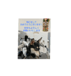 茶太朗(ちゃたろー)スタンプVol.1（個別スタンプ：37）