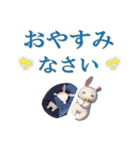 うさぎの日常＆敬語（個別スタンプ：16）