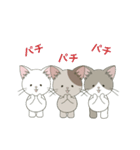 ねこ組＊毎日動く【ロコ•モコ•ドン】（個別スタンプ：5）