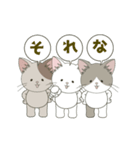 ねこ組＊毎日動く【ロコ•モコ•ドン】（個別スタンプ：7）