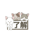 ねこ組＊毎日動く【ロコ•モコ•ドン】（個別スタンプ：14）