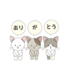 ねこ組＊毎日動く【ロコ•モコ•ドン】（個別スタンプ：16）