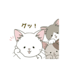 ねこ組＊毎日動く【ロコ•モコ•ドン】（個別スタンプ：17）