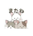 ねこ組＊毎日動く【ロコ•モコ•ドン】（個別スタンプ：23）