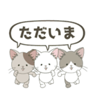 ねこ組＊毎日飛び出す❤️ロコ•モコ•ドン（個別スタンプ：3）