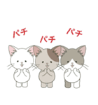 ねこ組＊毎日飛び出す❤️ロコ•モコ•ドン（個別スタンプ：5）