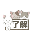 ねこ組＊毎日飛び出す❤️ロコ•モコ•ドン（個別スタンプ：14）