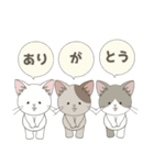 ねこ組＊毎日飛び出す❤️ロコ•モコ•ドン（個別スタンプ：16）