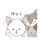 ねこ組＊毎日飛び出す❤️ロコ•モコ•ドン（個別スタンプ：17）