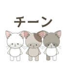 ねこ組＊毎日飛び出す❤️ロコ•モコ•ドン（個別スタンプ：19）