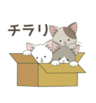 ねこ組＊毎日飛び出す❤️ロコ•モコ•ドン（個別スタンプ：22）