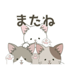 ねこ組＊毎日飛び出す❤️ロコ•モコ•ドン（個別スタンプ：23）