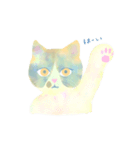 okoto家の猫たち（個別スタンプ：7）
