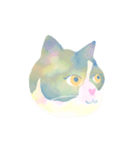 okoto家の猫たち（個別スタンプ：11）