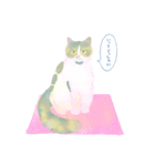 okoto家の猫たち（個別スタンプ：27）