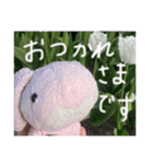たんたんスタンプ⑤（個別スタンプ：1）
