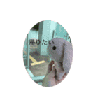 たんたんスタンプ⑤（個別スタンプ：4）
