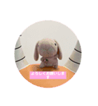 たんたんスタンプ⑤（個別スタンプ：6）