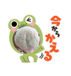 たんたんスタンプ⑤（個別スタンプ：9）