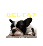 フレンチブルドッグのたわら（個別スタンプ：20）