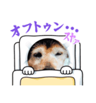 うこちゃんのまいにち（個別スタンプ：7）