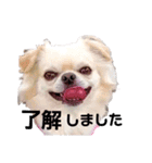 なかよしキキララルル（個別スタンプ：1）
