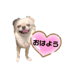 なかよしキキララルル（個別スタンプ：2）