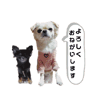 なかよしキキララルル（個別スタンプ：10）