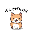 柴犬のキュートなスタンプ（個別スタンプ：22）