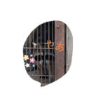 おもしろ動物スタンプ！！（個別スタンプ：8）
