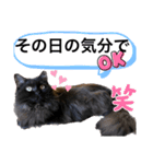 黒猫 ルナ院長67にゃんめ（個別スタンプ：6）