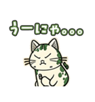 不機嫌ねこちゃん（個別スタンプ：5）