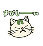 不機嫌ねこちゃん（個別スタンプ：13）