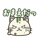 不機嫌ねこちゃん（個別スタンプ：16）