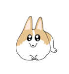愛犬のコーギースタンプ（個別スタンプ：1）