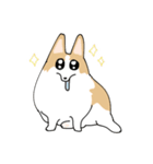 愛犬のコーギースタンプ（個別スタンプ：6）