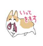 愛犬のコーギースタンプ（個別スタンプ：7）