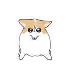 愛犬のコーギースタンプ（個別スタンプ：8）