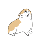 愛犬のコーギースタンプ（個別スタンプ：9）