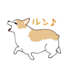 愛犬のコーギースタンプ（個別スタンプ：10）